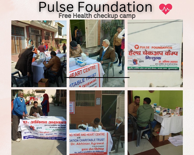 Pulse foundation camp 2